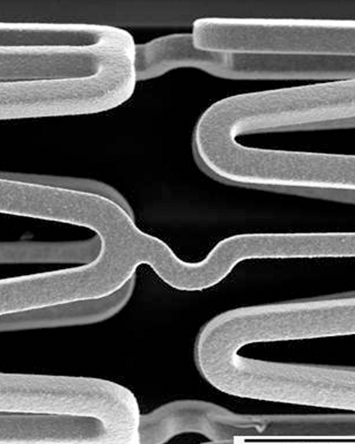 RIEPE PINOVA Capital RIEPE PINOVA Capital